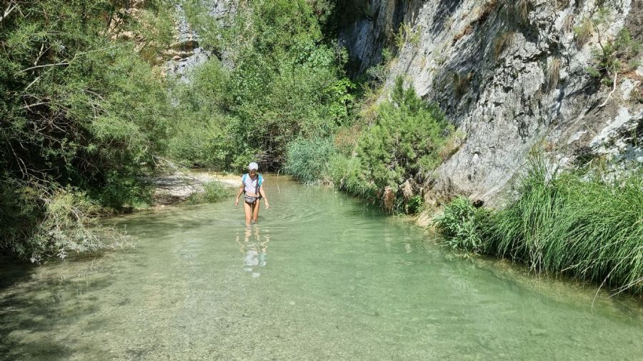 שביל הגשרים 